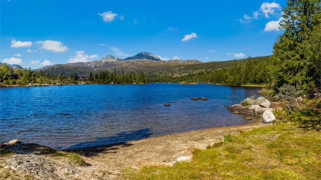 Gode bade- og fiskemuligheter i nærliggende fjellvann (husk fiskekort).