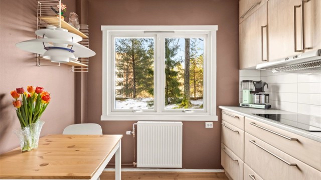 Stort separat kjøkken med en ventilator med kullfilter er integrert i overskapene.
Foto: Martine Eren Jacobsen