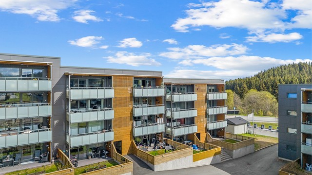 Området fremstår som svært familievennlig, med trygge gangveier, lite gjennomgangstrafikk og gode oppvekstsvilkår. Det er kort gangavstand til både barnehage og skole. Romolslia barnehage og Romolslia skole ligger innen gangavstand.