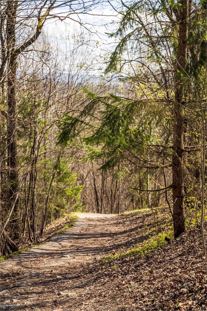 Nydelige turmuligheter i nærområdet.