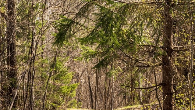 Nydelige turmuligheter i nærområdet.
