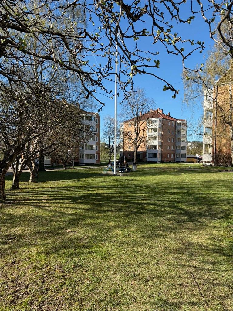 Borettslagets fellesområder er omringen av store grønterealer.