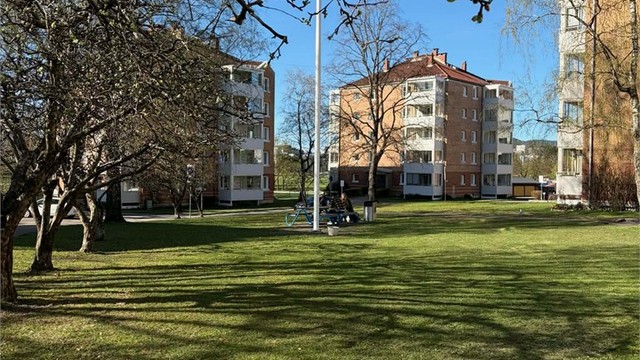 Borettslagets fellesområder er omringen av store grønterealer.
