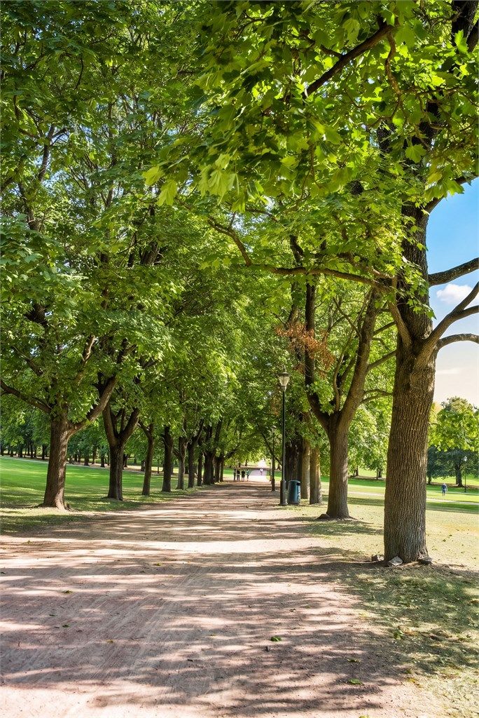 Kort vei til flotte tur- og rekreasjonsområder i nærområdet på Smestad.