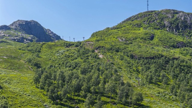 Gullingen skitrekk