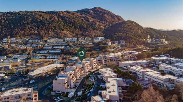 Borettslaget består av 271 andeler med Obos som forretningsfører.