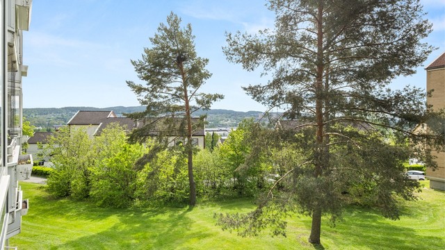 Lite innsyn og frodig utsikt over velstelte fellesarealer