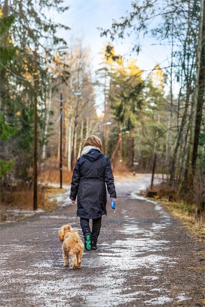 Bilfrie skogsveier og turstier strekker seg milevis innover, perfekt for deg med hund