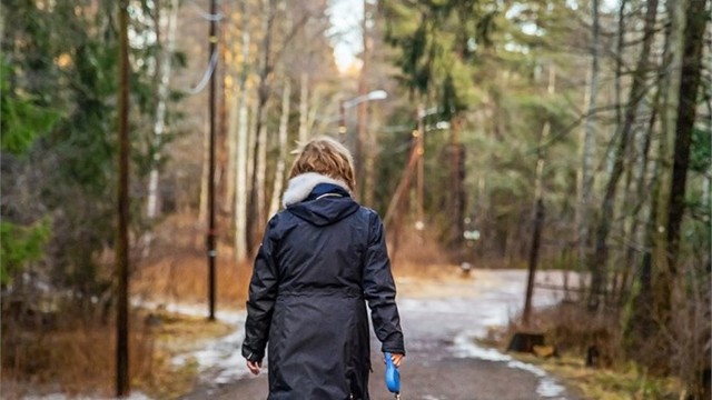 Bilfrie skogsveier og turstier strekker seg milevis innover, perfekt for deg med hund