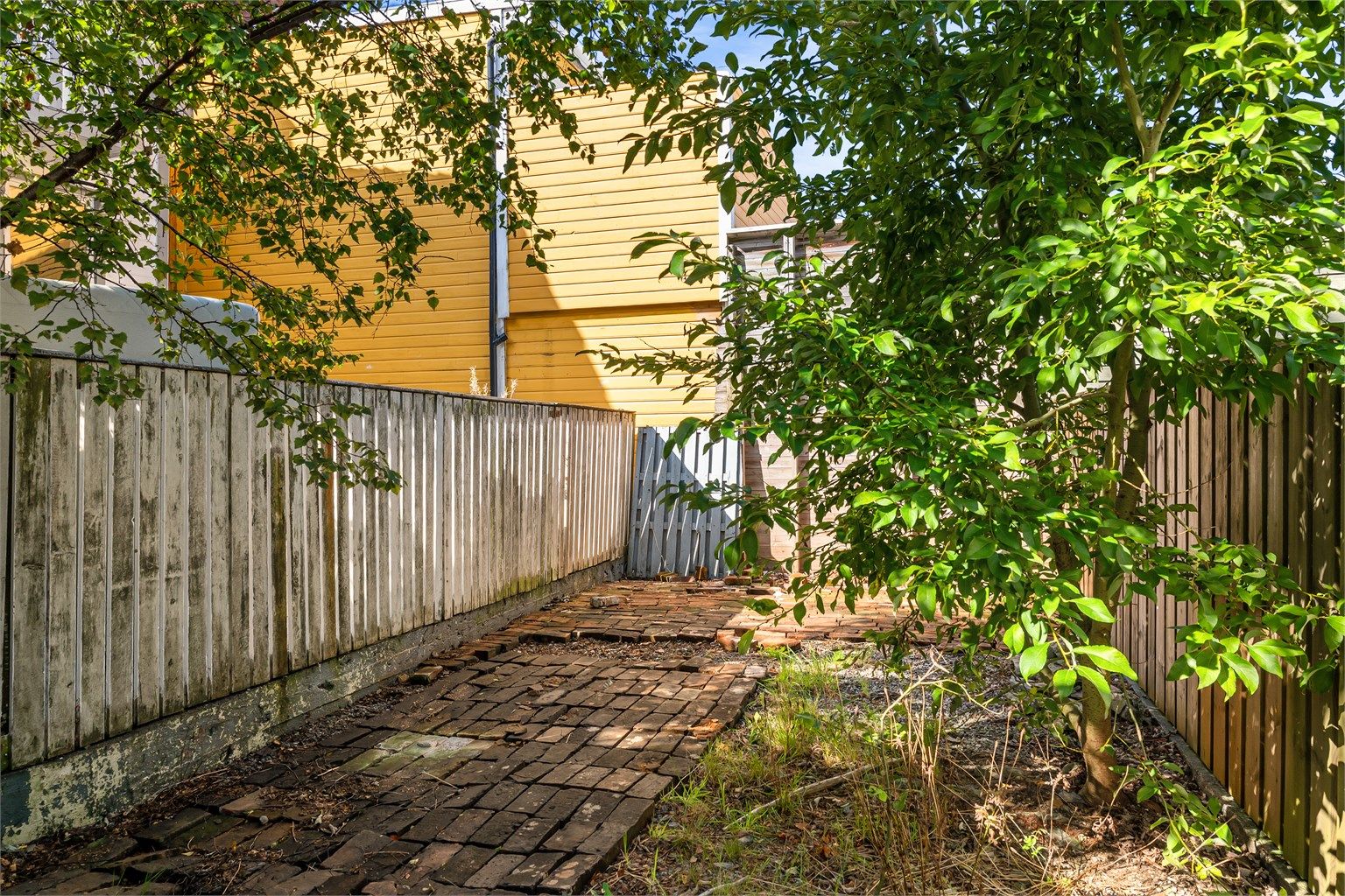 Kjekk bakgård med trær og gjerde - perfekt utgangspunkt for å lage en skjermet uteplass.