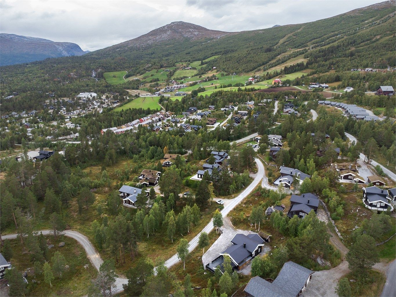Dronebilde av nærområdet