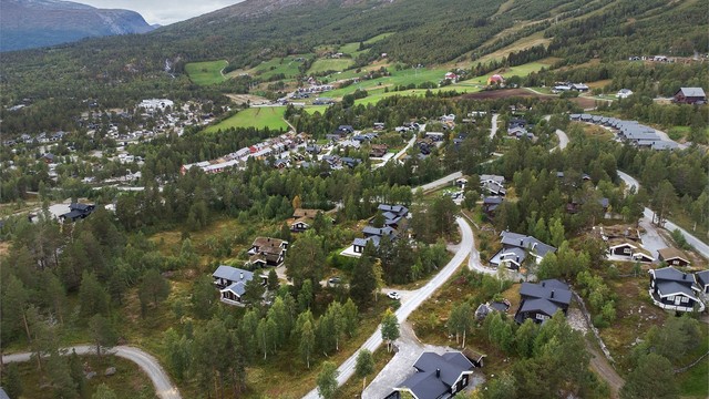 Dronebilde av nærområdet