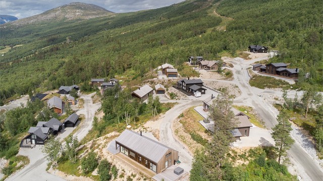 Med ski in/ski out i området og kort vei til Bjorli Skisenter er alt tilrettelagt for skientusiaster.