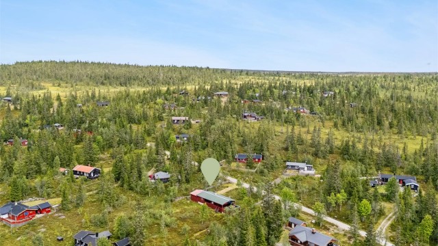 Drone nordøst- hytta ligger høyt på Bjønnåsen, Stalsberglia, men kort avstand inn på Raufjellet og Ringsakerfjellet over tregrensa. Nydelig tur- og skiløyper
