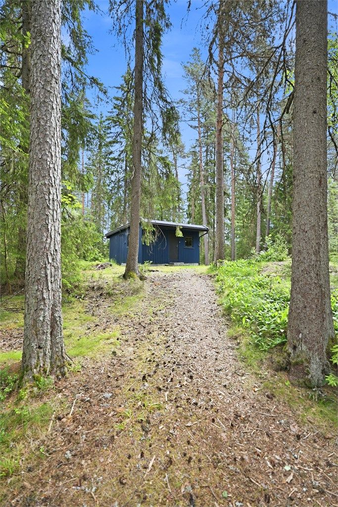 Velkommen til en rolig plass i skogen