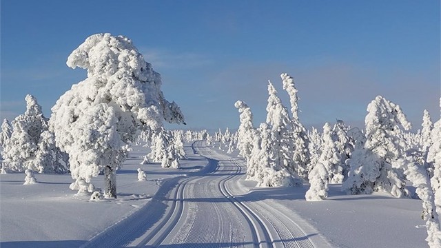 Fantastiske turmuligheter i området