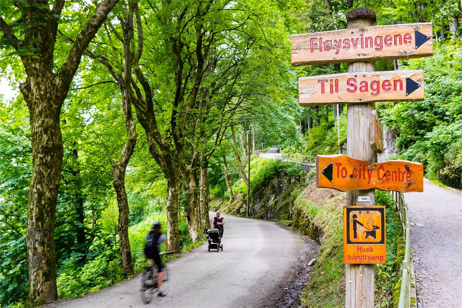 Kort spasertur fra leiligheten og opp i Fjellveien. 