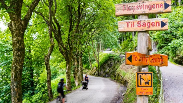 Kort spasertur fra leiligheten og opp i Fjellveien.