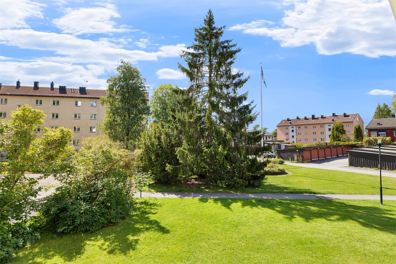 Flott utsyn over de frodige grøntarealene i Myrer Borettslag (Foto: Petter Tanum/TanumFoto)