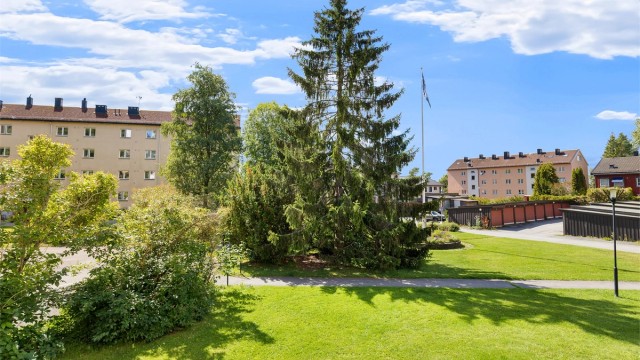 Flott utsyn over de frodige grøntarealene i Myrer Borettslag (Foto: Petter Tanum/TanumFoto)