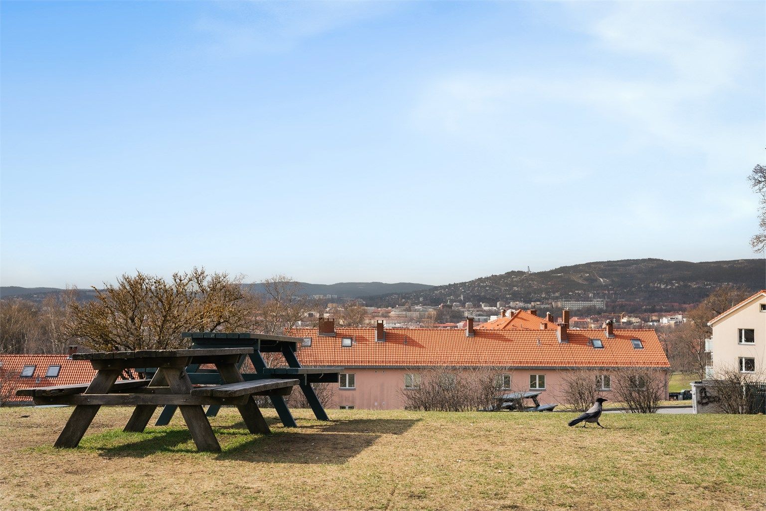 Fra høydedragene i området har man en flott utsikt mot Grefsenkollen og Østmarka.