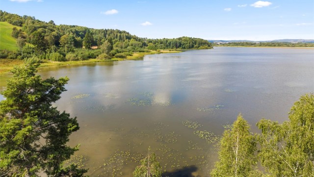Øyeren byr på et rikt dyre- og fugleliv rett utenfor døren.