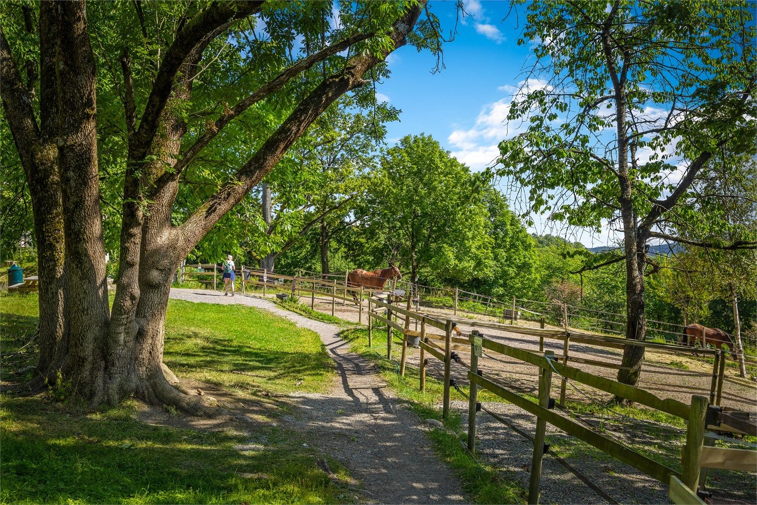 Årvoll gård