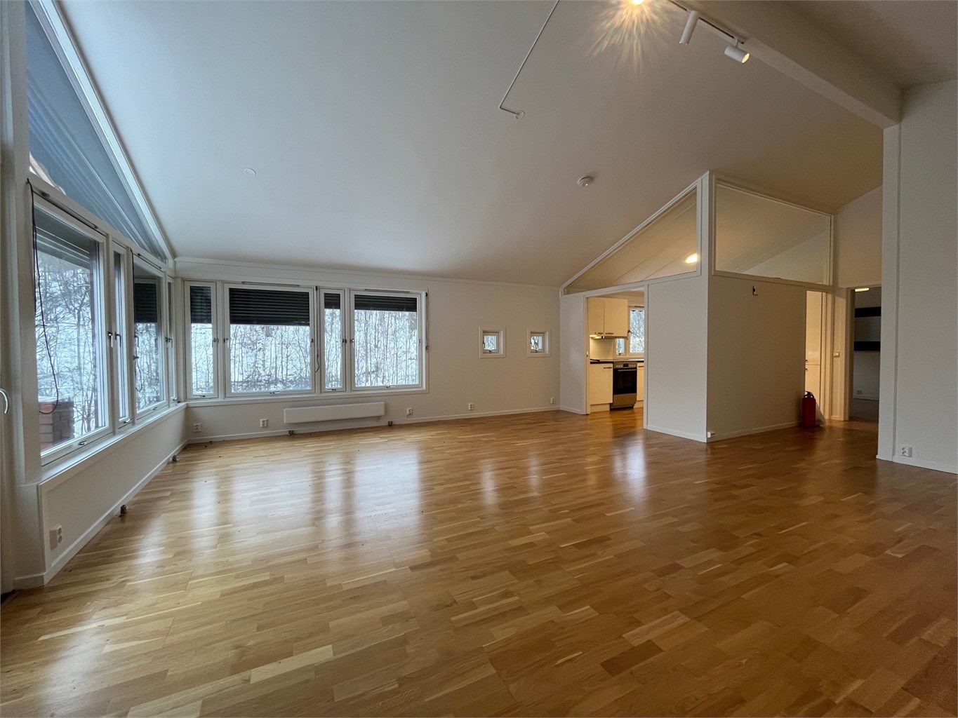 Meget god plass til både sofagruppe og spisebord