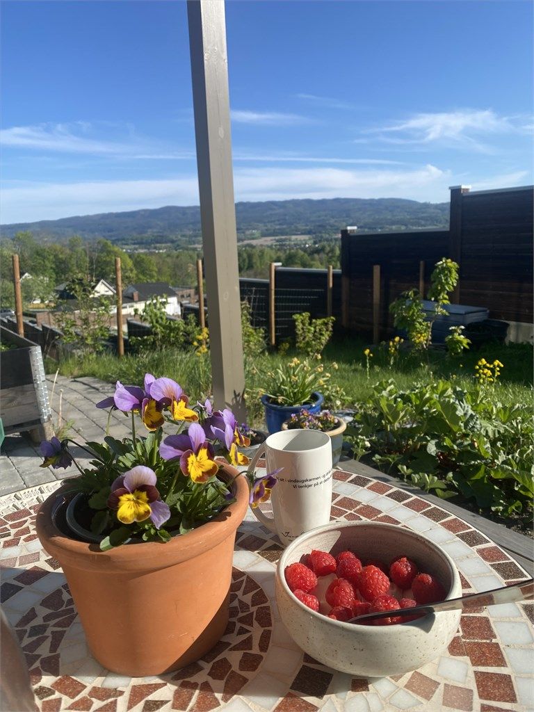 Sommerbilder fra terrasse/hage