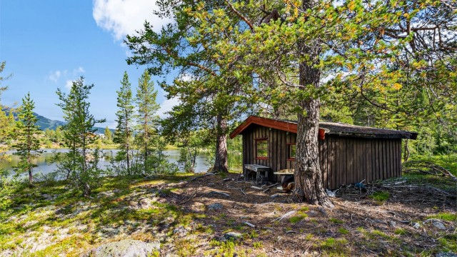 - Velkommen til Røyrtjønn -