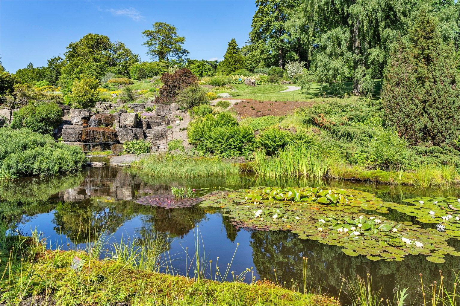 I tillegg har du kort vei til blant annet Botanisk hage, Ekebergparken, Middelalderparken og Sofienbergparken.