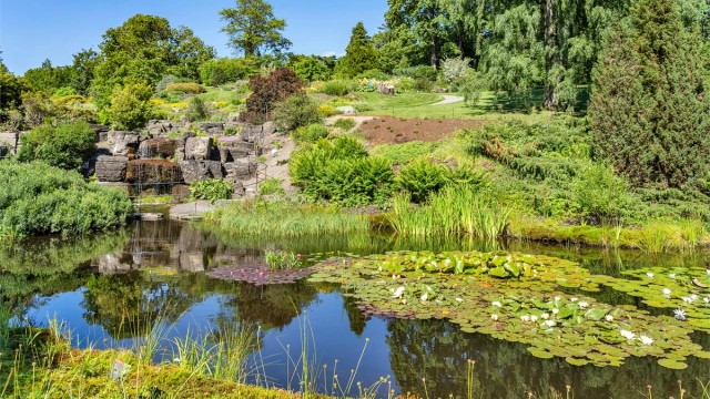 I tillegg har du kort vei til blant annet Botanisk hage, Ekebergparken, Middelalderparken og Sofienbergparken.