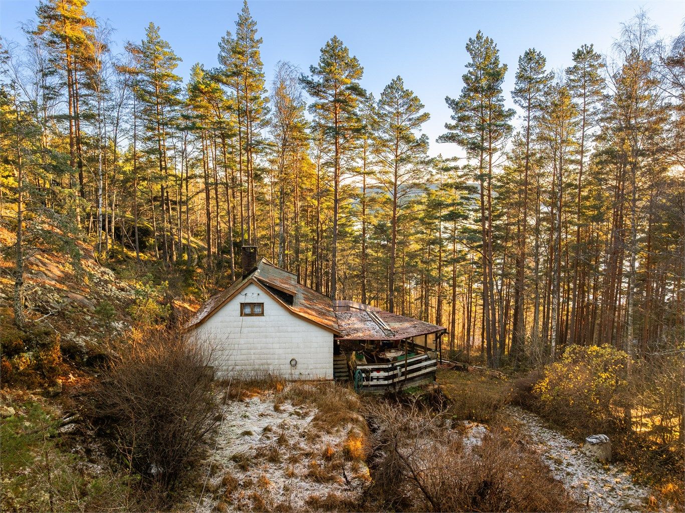 Den 1.058 kvm. store tomten er omgitt av furuskog og helt usjenert. Iddefjorden skimtes mellom trærne.