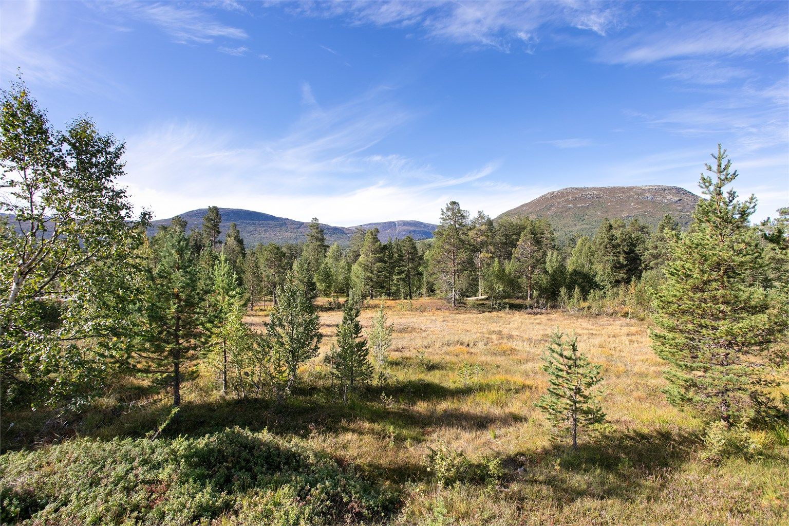 Fjellterrenget rundt hytten byr på flotte turmuligheter både sommer og vinter.