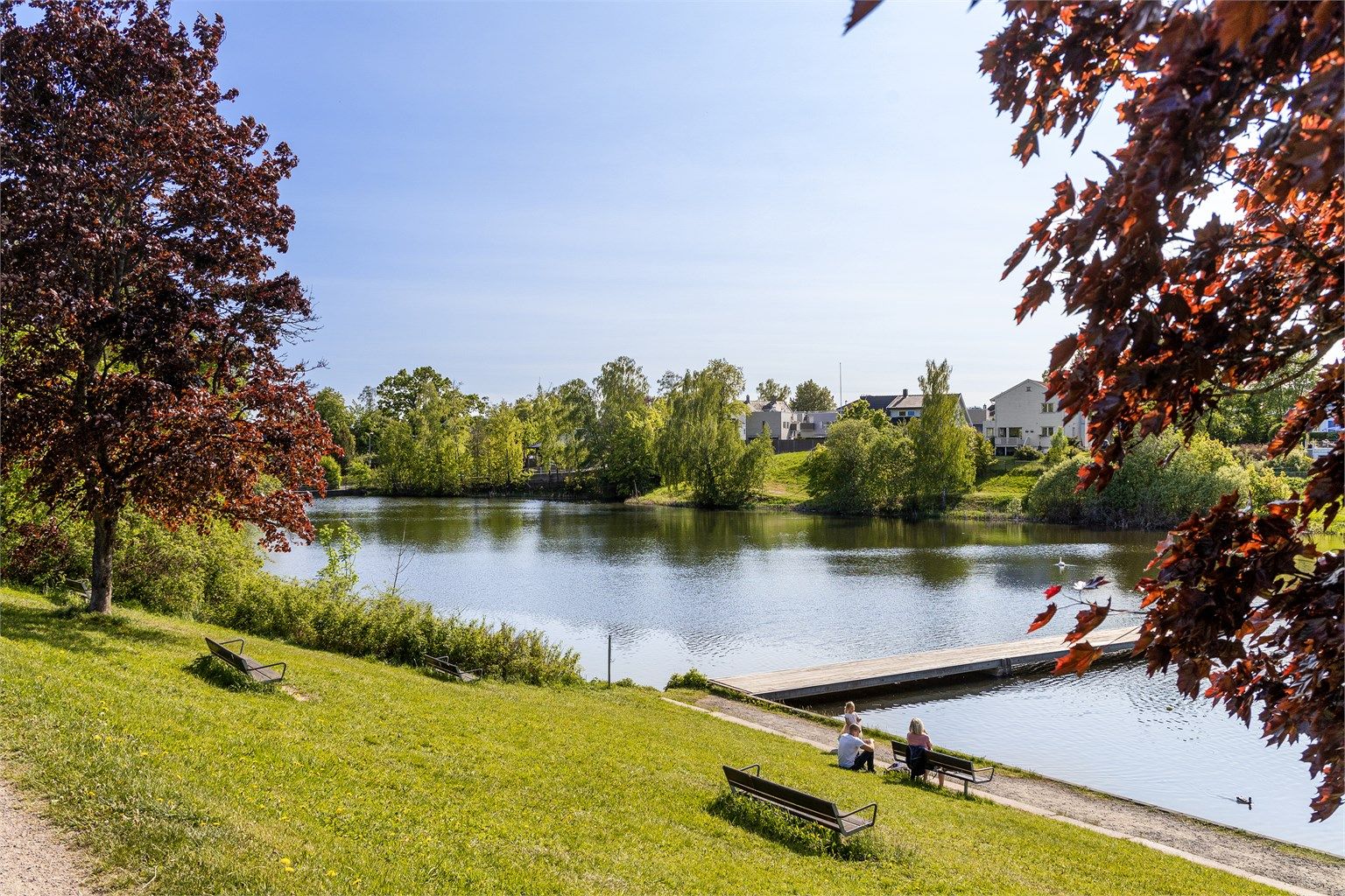 Holmendammen, sør i parken.