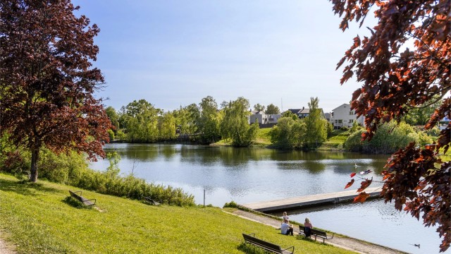 Holmendammen, sør i parken.