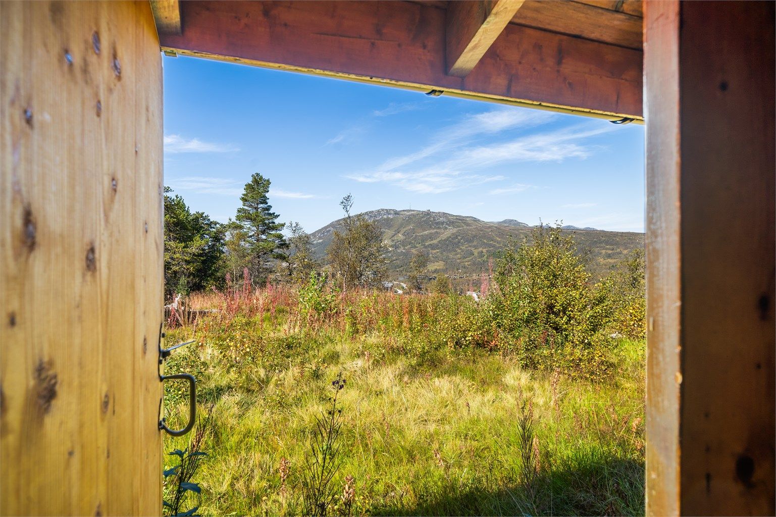 Velkommen til Hartevasslii 24