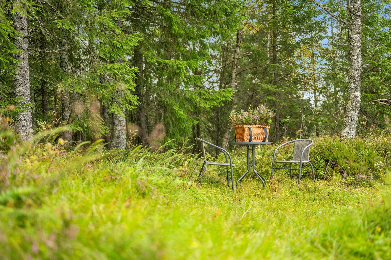 Rett utenfor hytta kan du finne din egen lille plass i naturen – perfekt for morgenkaffen eller en rolig stund blant trærne.