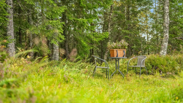 Rett utenfor hytta kan du finne din egen lille plass i naturen – perfekt for morgenkaffen eller en rolig stund blant trærne.