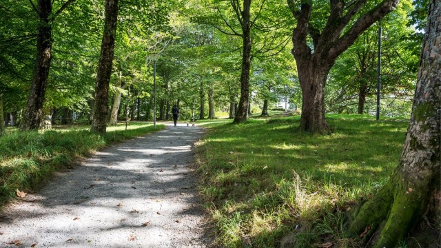 Sentral beliggenhet like ved Bjergstedsparken og Konserthuset.