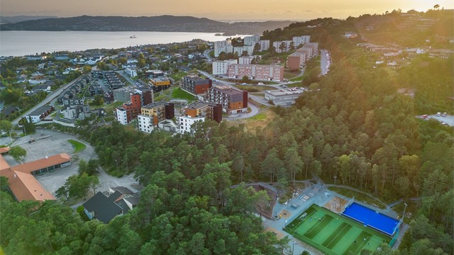Ved Haukedalen skole ligger den nye aktivitetsparken som sto ferdig i 2021. Her finnes både skateboardramper, kunstgressbane og klatreløyper.