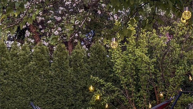 Selgers stemningsbilder fra hagen. Sommerbilder tatt i 2025 for å illustrere hvordan eiendommen ser ut på sommeren.