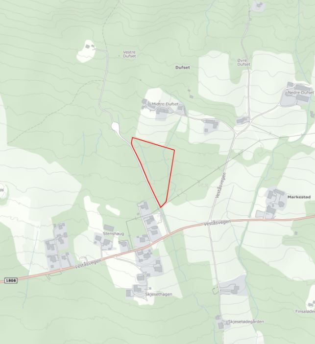 Skogsteig i Veståsvegen i Øvre Vang. Teigen kan besiktiges på egenhånd, se kart.