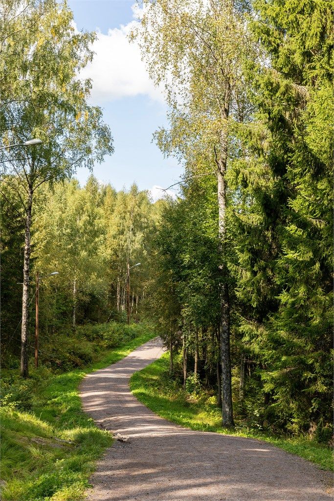 Fra Brekke går det flotte turløyper, både sommer og vinter