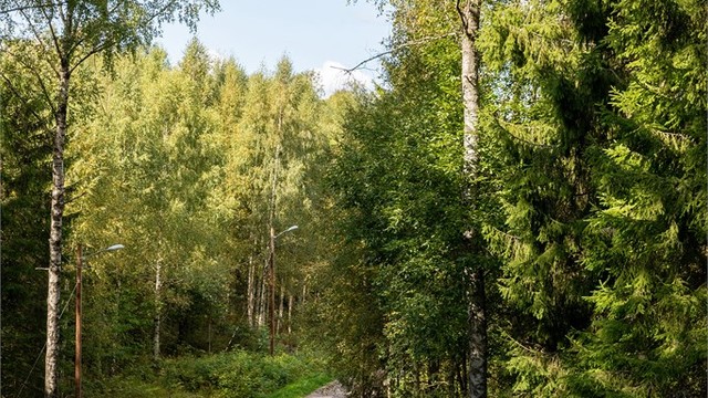 Fra Brekke går det flotte turløyper, både sommer og vinter