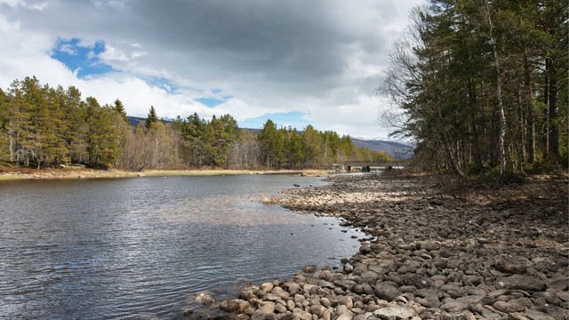 Nærhet til Raumaelva og Lesjaskogsvatnet, kjent for godt fiske etter ørret og harr.