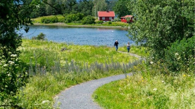 Nyt friluften på Fornebu