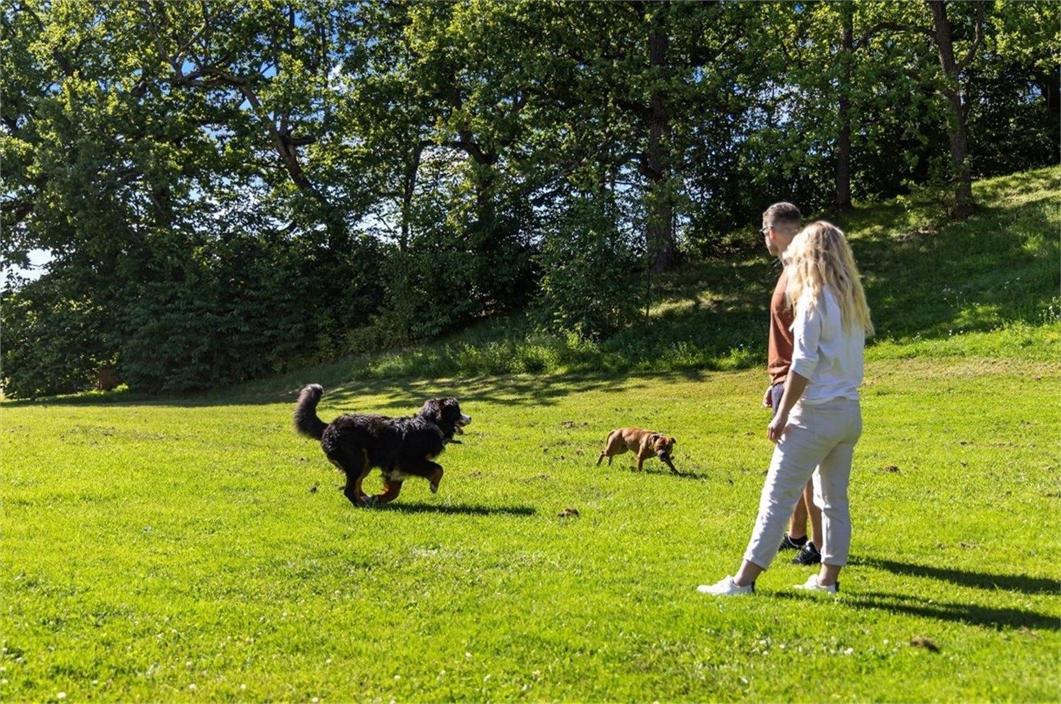 Store opparbeidede grøntarealer - perfekt for deg med hund eller katt