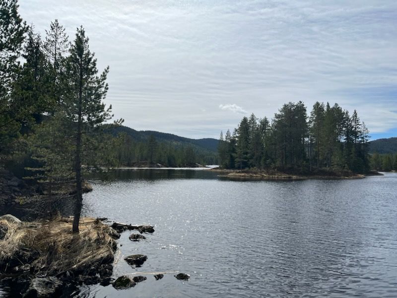 Nærhet til flere vann for både bading og fisking
