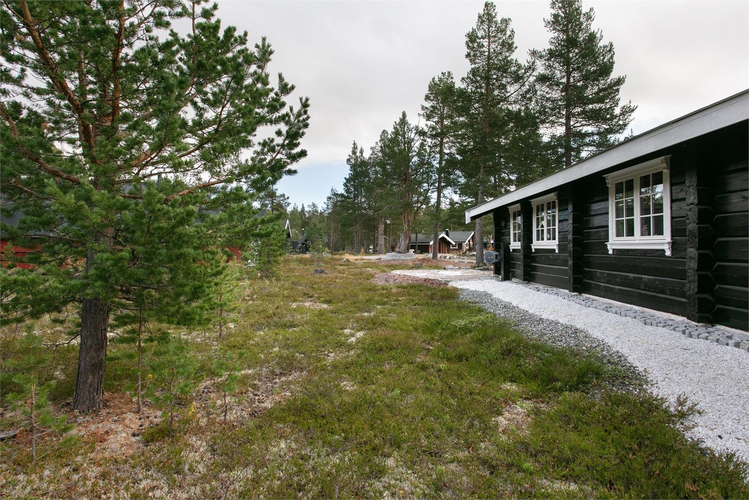 Fasade og naturtomt 